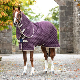 Kentucky Horsewear Amigo Stable Plus DISC Pferdedecke Medium Blau Lila - 200 g – Bild 1 von 4