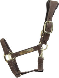Kentucky Horsewear Anatomic Suede Halfter aus Kunstleder in Grau für Vollblut Pferde – Bild 1 von 1