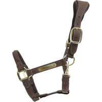 Produktbild von Kentucky Horsewear Anatomic Suede Halfter aus Kunstleder in Grau für Vollblut Pferde