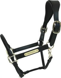 Kentucky Horsewear Anatomisches Genickstück für Lederhalfter aus Kunstleder Schwarz Onesize – Bild 1 von 9
