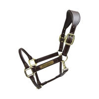 Produktbild von Kentucky Horsewear Anatomisches Halfter aus Kunstleder Braun für Vollblut