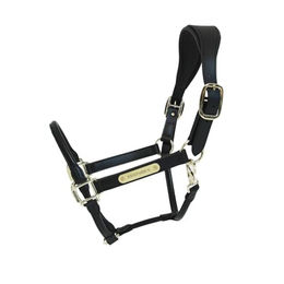 Kentucky Horsewear Anatomisches Lederhalfter aus Kunstleder Schwarz für Vollblut Pferde – Bild 1 von 13