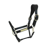 Produktbild von Kentucky Horsewear Anatomisches Lederimitat Halfter für Warmblut in Schwarz und Gold