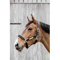 Produktbild von Kentucky Horsewear Anatomisches Nylon Halfter für Pferde Größe Full Blau