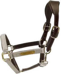 Kentucky Horsewear Anatomisches Nylon Halfter für Pferde in Beige – Bild 1 von 6