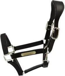 Kentucky Horsewear Anatomisches Nylon Halfter für Warmblut in Schwarz – Bild 1 von 10
