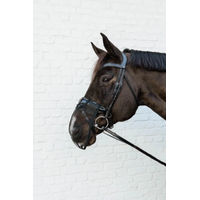 Produktbild von Kentucky Horsewear Anti-Fly Nüsternschutz für Pferde Schwarz Full
