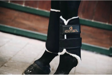Kentucky Horsewear Arbeitsgamaschen Solimbra Vorderbein Beinschutz Schwarz – Bild 1 von 10