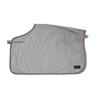 Produktbild von Kentucky Horsewear Ausreitdecke Quadrat reflektierend Silber Größe M