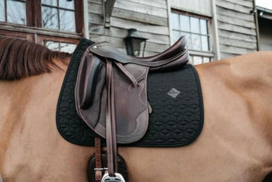 Kentucky Horsewear Basic Schabracke Dressur Schwarz aus Baumwolle – Bild 1 von 6