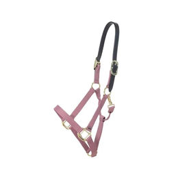 Kentucky Horsewear Breakaway Nylonhalfter für Pferde in Altrosa mit Goldakzenten – Bild 1 von 6