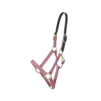 Produktbild von Kentucky Horsewear Breakaway Nylonhalfter für Pferde in Altrosa mit Goldakzenten