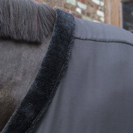 Kentucky Horsewear Brustschutz für Pferde Schwarz Größe M – Bild 1 von 11