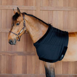 Kentucky Horsewear Brustschutz für Pferde Schwarz XL – Bild 1 von 12
