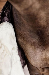 Kentucky Horsewear Brustverlängerung für Pferde veganes Lammfell Natur Onesize – Bild 1 von 6