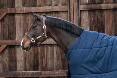 Kentucky Horsewear Classic Unterdecke aus Polyester Marineblau 155 cm 100g – Bild 1 von 2