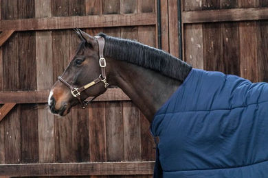 Kentucky Horsewear Classic Unterdecke für Pferde aus Polyester 125g – Bild 1 von 2