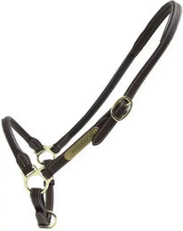 Kentucky Horsewear Cob Stallhalfter aus Leder in Braun mit Gold – Bild 1 von 5