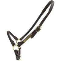 Produktbild von Kentucky Horsewear Cob Stallhalfter aus Leder in Braun mit Gold