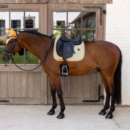 Kentucky Horsewear Dressage Sattelunterlage aus Velours für Vollblut in Lila – Bild 1 von 7