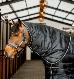 Produktbild von Kentucky Horsewear Easy-Layer Stable Hood Halsteil Schwarz aus Polyester 100g - 100 g
