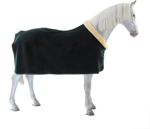 Kentucky Horsewear Fleece Show Heavy Abschwitzdecke für Pferde in Grün – Bild 1 von 7