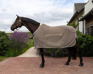 Produktbild von Kentucky Horsewear Fliegendecke Comfort mit Bauchteil Beige 125 cm