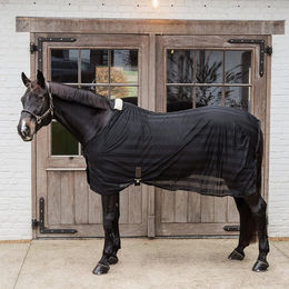 Kentucky Horsewear Fliegendecke Mesh Schwarz Größe 160 – Bild 1 von 13