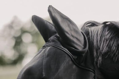 Kentucky Horsewear Fliegenmaske Classic mit Ohrenschutz Schwarz – Bild 1 von 13
