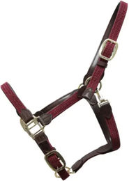 Kentucky Horsewear Geflochtenes Nylon Halfter für Vollblut in Bordeaux – Bild 1 von 3