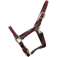 Produktbild von Kentucky Horsewear Geflochtenes Nylon Halfter für Vollblut in Bordeaux