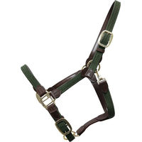 Produktbild von Kentucky Horsewear Geflochtenes Nylon Halfter für Vollblut in Olivgrün mit Gold
