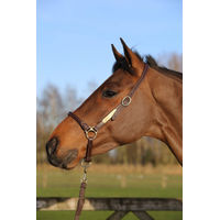Produktbild von Kentucky Horsewear Grooming Lederhalfter für Warmblut in Braun