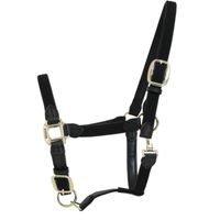 Produktbild von Kentucky Horsewear Halfter aus geflochtenem Nylon für Vollblut in Schwarz