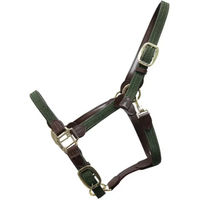 Produktbild von Kentucky Horsewear Halfter aus geflochtenem Nylon in Olivgrün für Warmblut