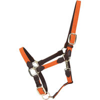 Produktbild von Kentucky Horsewear Halfter aus geflochtenem Nylon in Orange für Warmblut