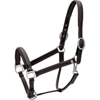 Produktbild von Kentucky Horsewear Halfter Fancy aus Leder in Schwarz Grösse Full