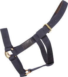 Kentucky Horsewear Halfter Heavy Duty Extra Stabil Navy Full – Bild 1 von 1