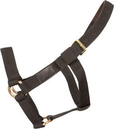 Kentucky Horsewear Halfter Heavy Duty Extra Stabil Schwarz Full – Bild 1 von 1