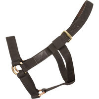 Produktbild von Kentucky Horsewear Halfter Heavy Duty Extra Stabil Schwarz Pony
