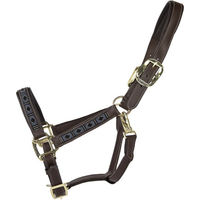 Produktbild von Kentucky Horsewear Halfter Pearls in Silber Größe Full