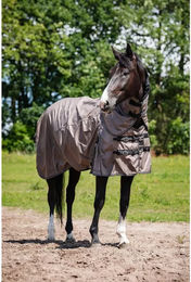 Produktbild von Kentucky Horsewear HorseGuard 600D Standard-Außendecke für Pferde mit Teppichanpassung