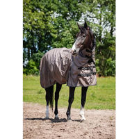 Produktbild von Kentucky Horsewear HorseGuard 600D Standard-Außendecke für Pferde mit Teppichanpassung
