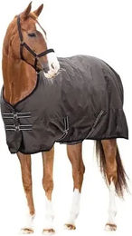 Produktbild von Kentucky Horsewear HorseGuard Outdoor-Decke aus Polyester in Braun oder Schwarz