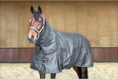 Produktbild von Kentucky Horsewear HorseGuard Outdoor-Pferdedecke aus Polyester in Grau