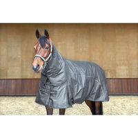 Produktbild von Kentucky Horsewear HorseGuard Outdoor-Pferdedecke aus Polyester in Grau