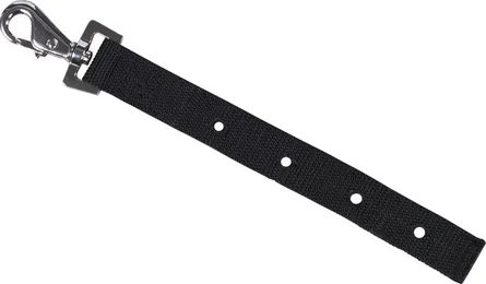Produktbild von Kentucky Horsewear HorseGuard Web Decke mit Gurtband in Schwarz