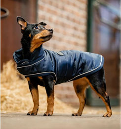 Kentucky Horsewear Hundedecke Signature 200g - 200 g – Bild 1 von 2