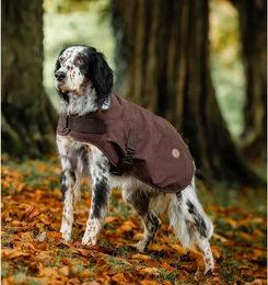 Kentucky Horsewear Hundemantel Newmarket Heritage aus Baumwolle wasserabweisend Braun XL – Bild 1 von 2