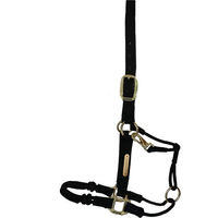Produktbild von Kentucky Horsewear Kontrollhalfter aus Nylon für Warmblut in Schwarz